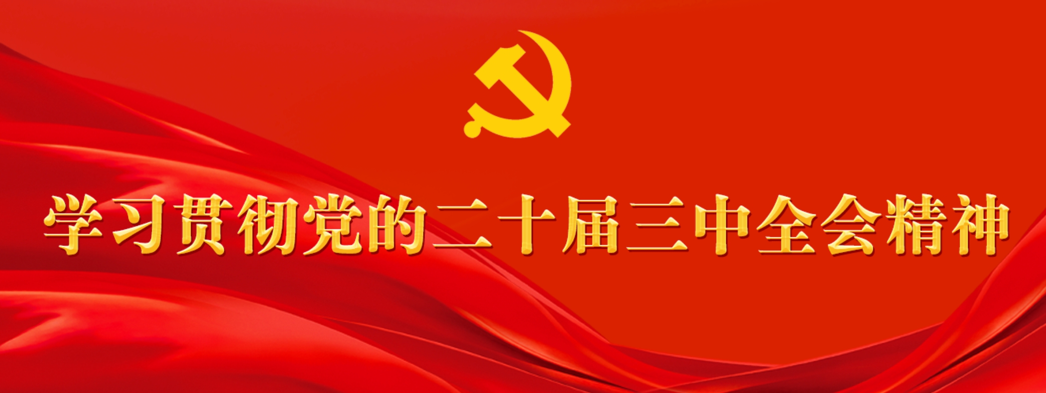 学习贯彻党的二十届三中全会精神