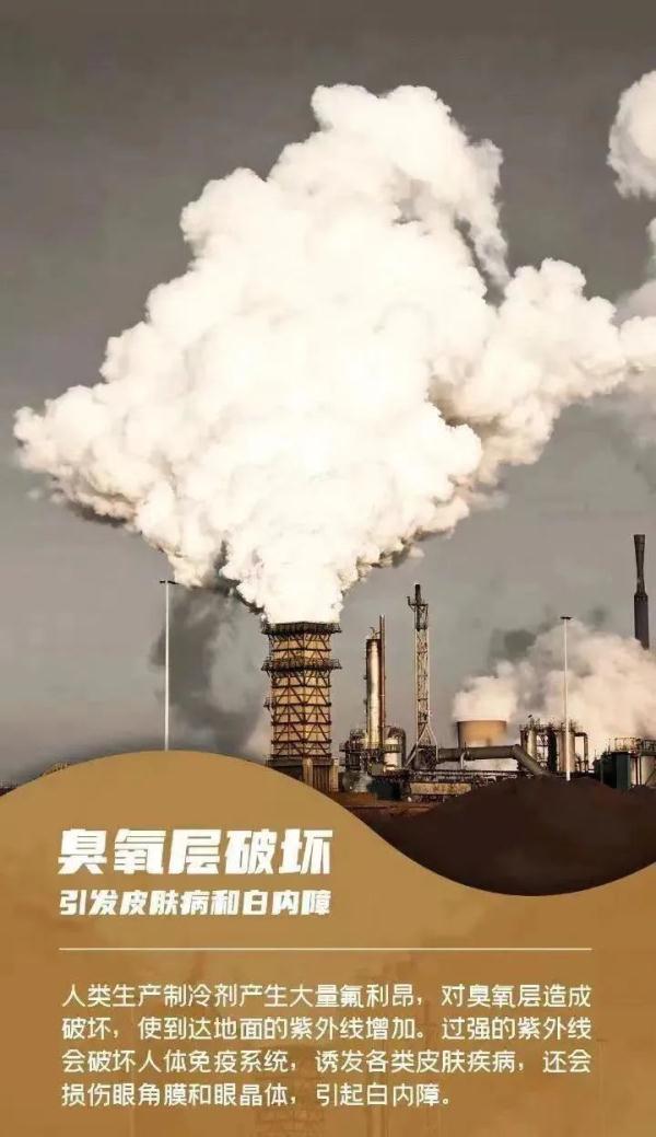 说明: https://pics7.baidu.com/feed/f9dcd100baa1cd11bc0350f46be5c6f0c1ce2db4.jpeg@f_auto?token=684800e55b03689229520b4875270b92