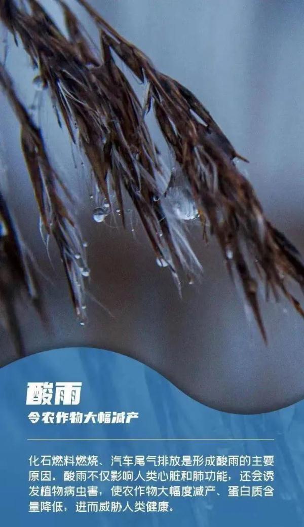 说明: https://pics1.baidu.com/feed/3c6d55fbb2fb4316693b1b0ef153482f08f7d3a5.jpeg@f_auto?token=c4a28e0a5c9d732ce357c39a4d5f44bc