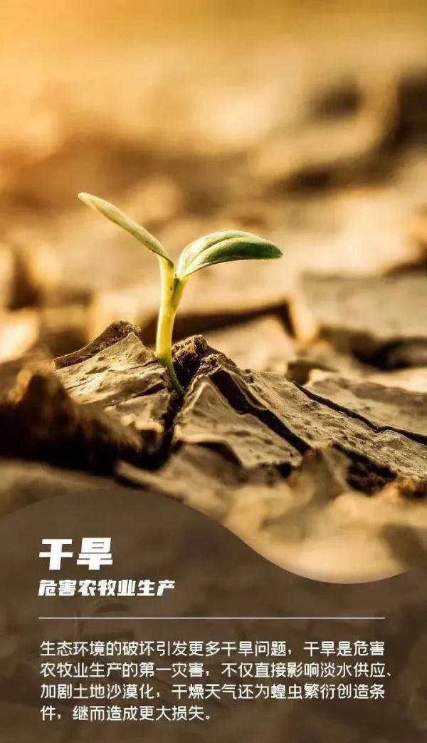 说明: https://pics6.baidu.com/feed/14ce36d3d539b6002ca25c2b38a73b26c45cb7c5.jpeg@f_auto?token=b1dba4169957e58001411f178d5bf922