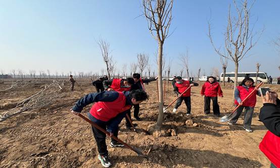 说明: 495d8ca2cf3bfee16cfd12139a0a514